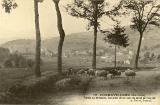 Corravillers. - Vallée du Breuchin, vue prise de la route du mont de Fourche